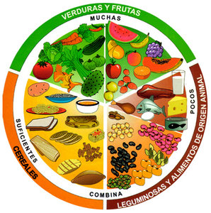 alimentacion-3.jpg