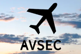 AVSEC-2.png