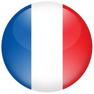 Francés online A1 (12 Meses)