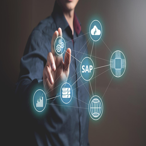 Usuario SAP SuccessFactors HR (Gestión de objetivos)