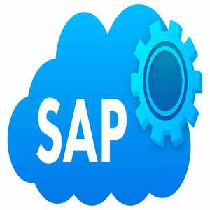 Acceso sistema SAP S/4HANA 12 meses