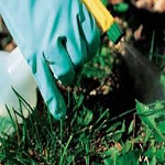 Agrario, forestal y pecuario
