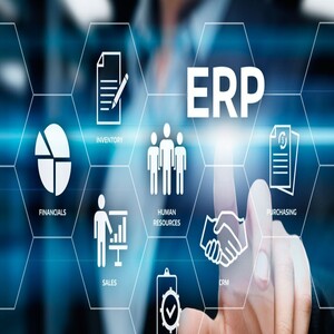 Usuario Logística SAP S/4HANA MM-SD