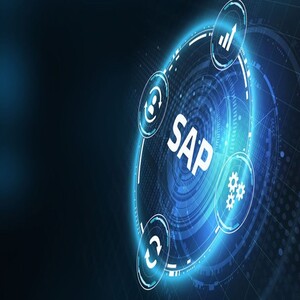 Usuario SAP Business One BO (Finanzas + Logística)