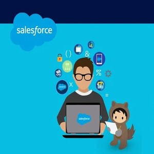 Usuario Administrador Salesforce Básico
