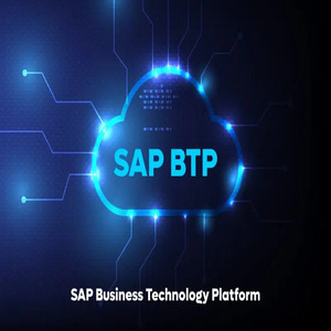 Desarrollador SAP BTP Cloud Platform