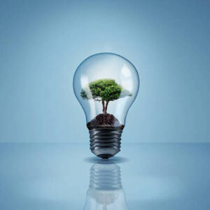 Eficiencia energética. Implantación de medidas para la sostenibilidad (ENAC20)