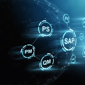 MBA Máster en Dirección de empresas con especialidad SAP R3