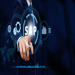 Usuario SAP KEY USER BUSINESS ONE (Logística)