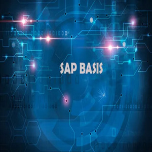 Administrador SAP BASIS HANA