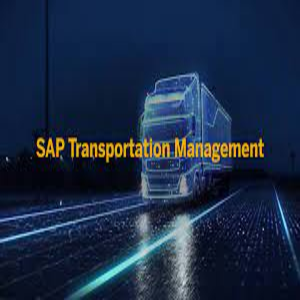Usuario SAP gestión de transportes TM