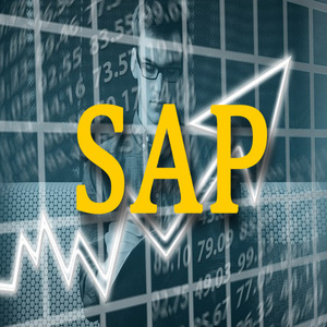 Usuario Cierre Financiero SAP S/4HANA FI (Finanzas)