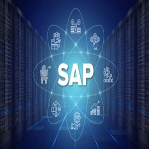 Usuario Experto Logística SAP S/4HANA MM-SD-EWM