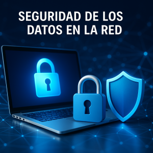 Seguridad de los Datos en la Red