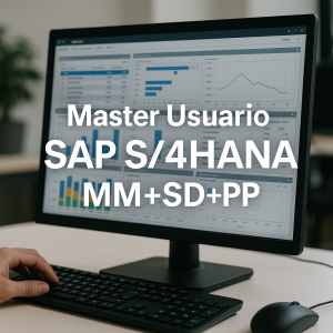 Master Usuario SAP S/4HANA MM+SD+PP