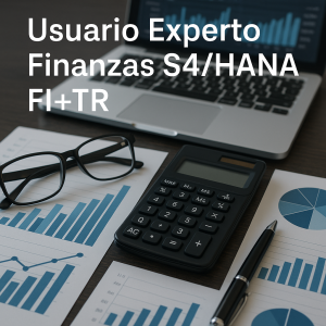 Usuario Experto Finanzas S4/HANA FI+TR