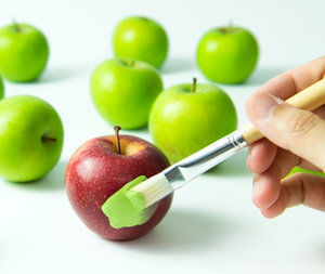 Fraude alimentario. Cómo prevenirlo y combatirlo