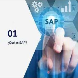 Usuario SAP R3 Introducción