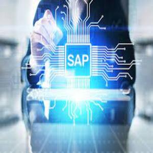 Usuario SAP S/4HANA QM (Calidad)