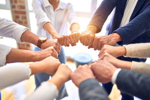 Gestión de Equipos Virtuales de Trabajo