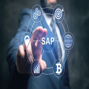 Usuario SAP R3 FI (Finanzas)