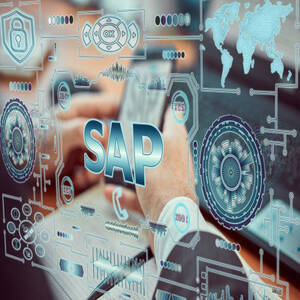 Usuario SAP S/4HANA FIORI FI (Finanzas)