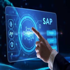 Usuario SAP S/4HANA EWM (Gestión de Almacenes)