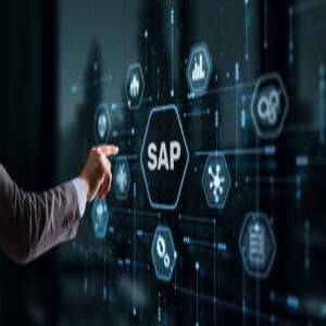 Usuario SAP Business One BO (Finanzas)