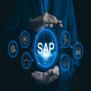 Usuario SAP ABAP HANA. Consultores funcionales