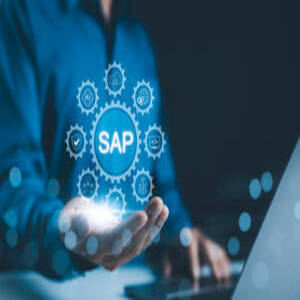 Usuario SAP S/4 HANA FI-CO (Finanzas y Controlling)
