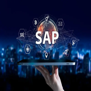 Usuario SAP R3 iniciación Básico