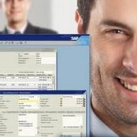 Máster SAP R3 Usuario Experto