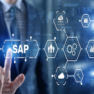 Master Consultor SAP SuccessFactors HR Learning