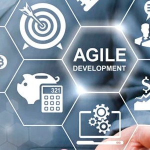 Usuario SAP Metodología Agile