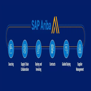 Master Consultor SAP ARIBA Suppliers