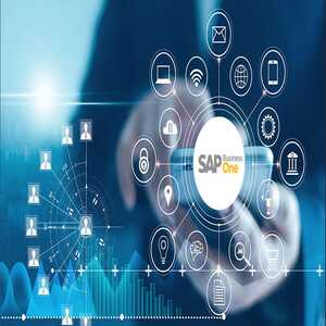 Usuario SAP Business One BO (Logística)