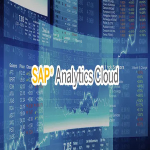 Usuario SAP ANALYTICS CLOUD (SAC)